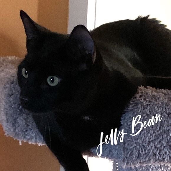 Like Here to Bookmark my Shop (: - Picture 7 of 9